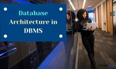Database Architecture in DBMS
