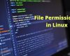 File Permissions in Linux